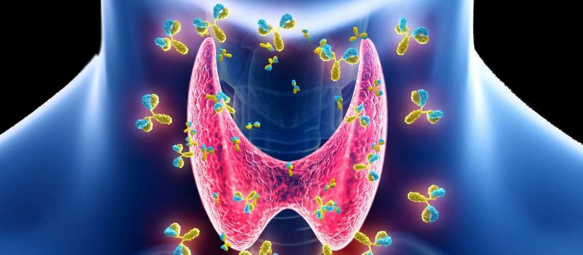 Tiroid Sinir Monitorizasyonu