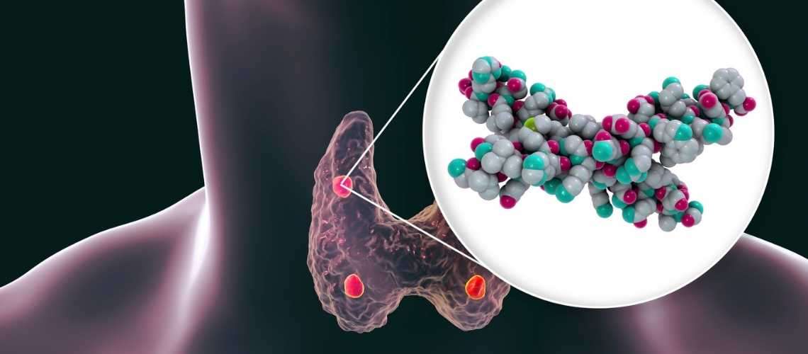 Parathormon nedir? Parathormon yüksekliği neye sebep olur?