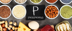 Fosfor Nedir Fosfor Yuksekligi Belirtileri ve Nedenleri Fosfor Nedir? Fosfor Yüksekliği Belirtileri ve Nedenleri