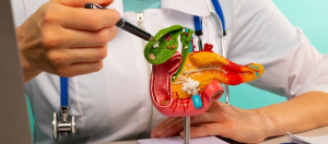 Safra Camuru Nedenleri Belirtileri Tanisi ve Tedavisi Safra Çamuru: Nedenleri, Belirtileri, Tanısı ve Tedavisi