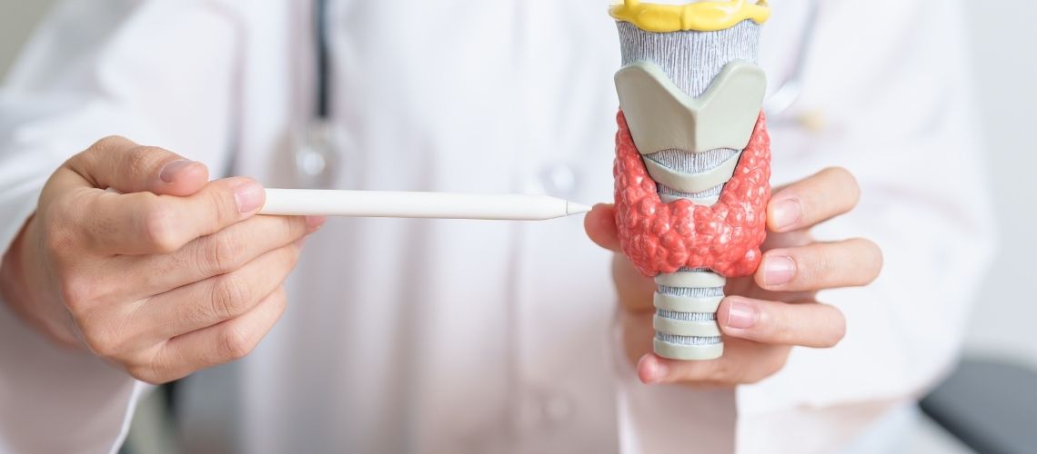 TSH Nedir TSH Yuksekligi ve Dusuklugu Ne Anlama Gelir TSH Nedir? TSH Yüksekliği ve Düşüklüğü Ne Anlama Gelir?